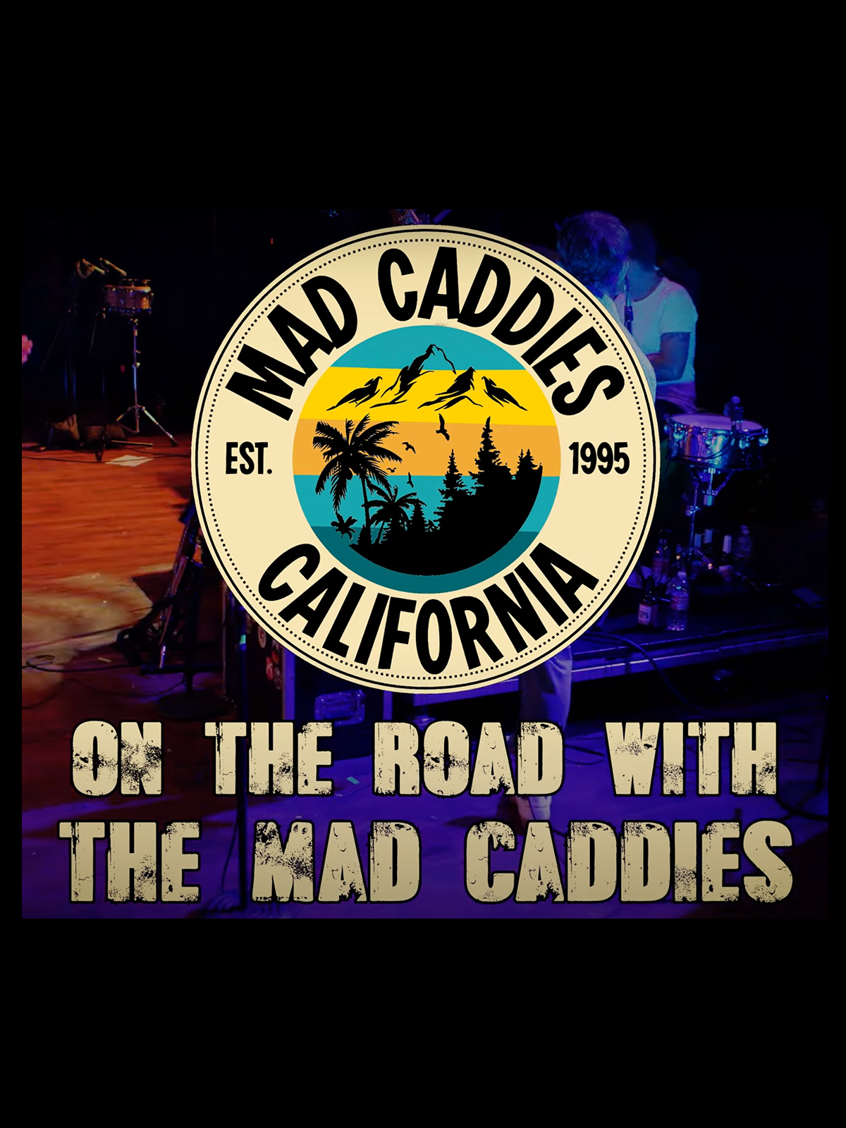 Any Video By Blocs Builder